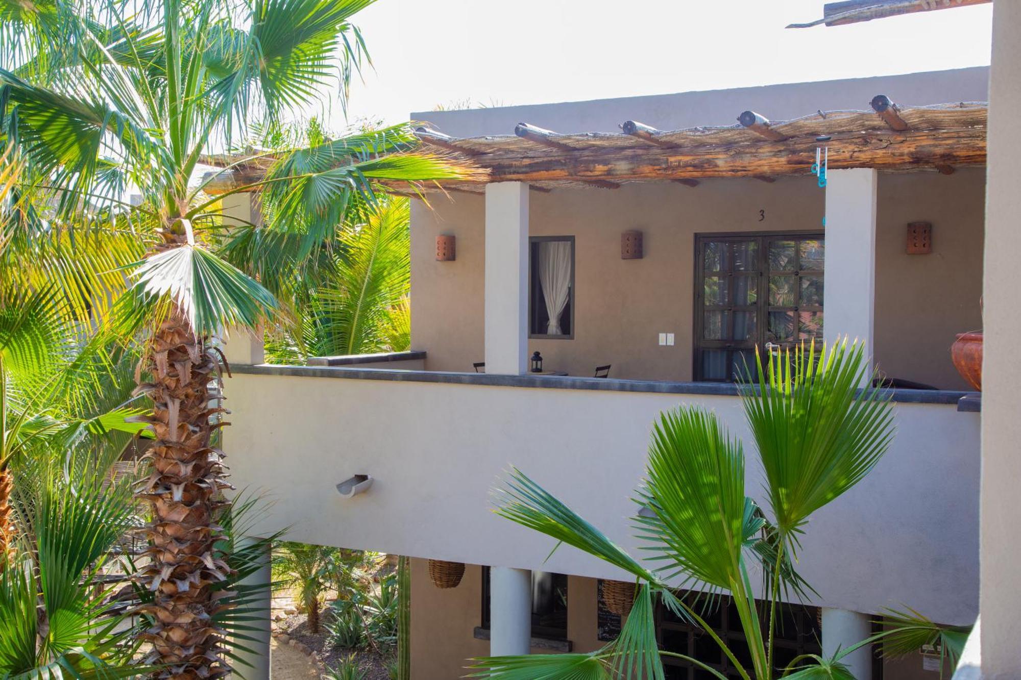 Pure Baja Private Suites-Upscale Property With Infinity Pool And Lush Gardens El Pescadero  Kültér fotó